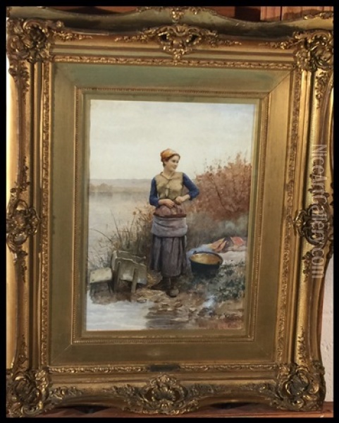 Chinese Pheasants Oil Painting - Daniel Ridgway Knight