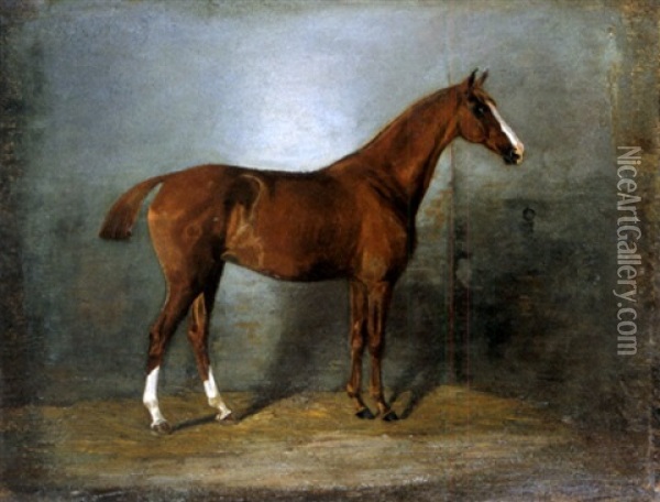 Ostpreussische Remonte (einjahriges Zuchtpferd) Oil Painting - Barbara van Houten