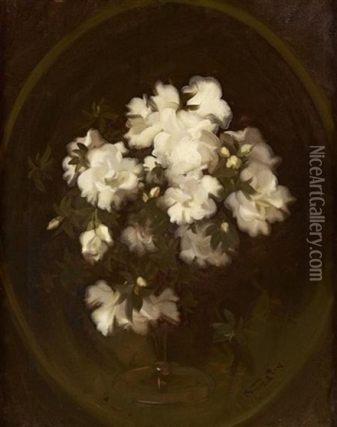 Still Life Of White Roses Oil Painting - Stuart James Park