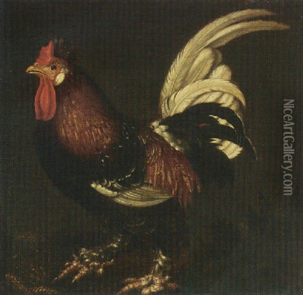 A Cockerel Oil Painting - Roelandt Savery