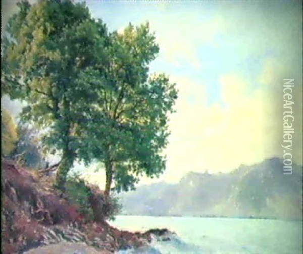 Pres Chillon (genfersee Bei Chillon Mit Blick Auf Die       Savoyer Alpen) Oil Painting - Henri Luc Mottu