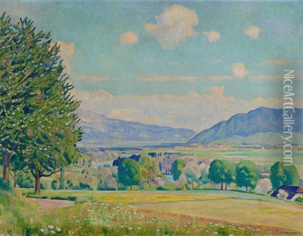 Fruhlingslandschaft Bei Bern Mit Blick Auf Die Berner Alpen Oil Painting - Emil Cardinaux