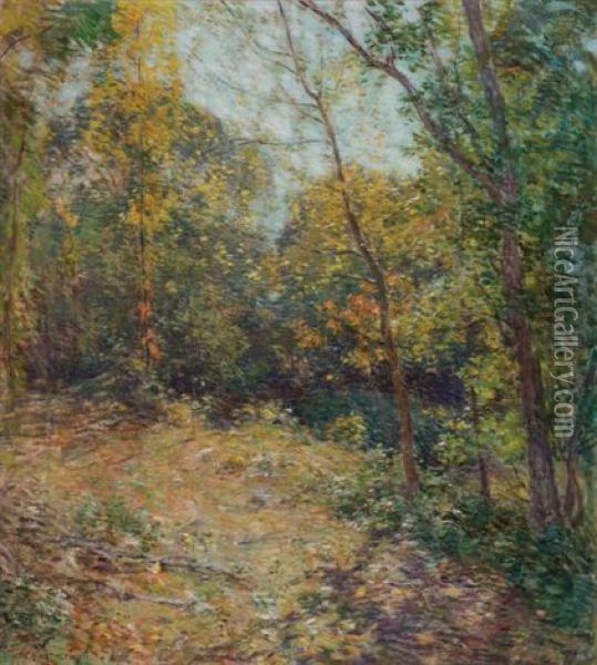 Partridge Woods Oil Painting - Willard Leroy Metcalf