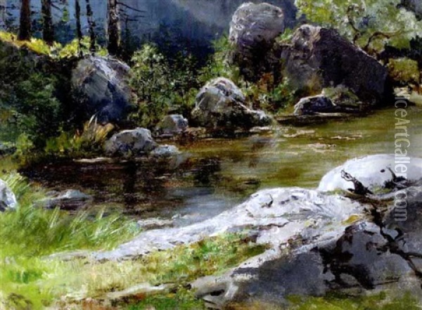 Am Stillen Gewasser Im Wald Oil Painting - Julius von Blaas