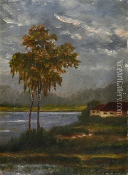 Zwei Birken Und Haus Am See Oil Painting - Julius Kockert