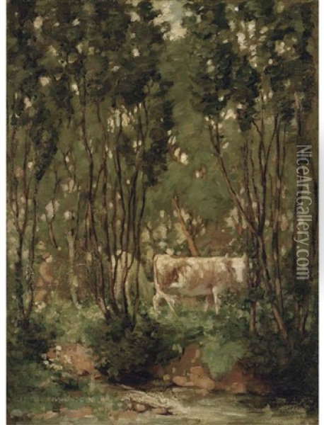 Cows In A Woodland Glade Oil Painting - James Hamilton Mackenzie