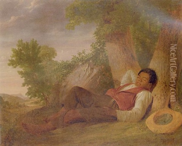 A Negro Boy Asleep At The Base Of A Tree Oil Painting - James-Goodwyn Clonney