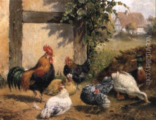 H_hner, Hahn Und Enten Auf Dem Hof Oil Painting - Carl Jutz the Elder