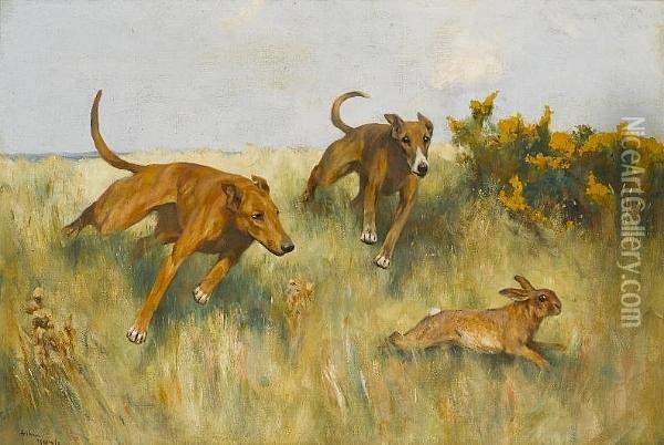 Coursing Oil Painting - Arthur Wardle