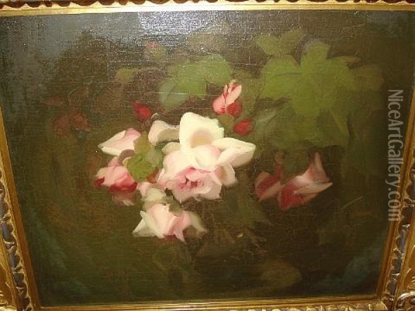 Pink Roses Oil Painting - Stuart James Park