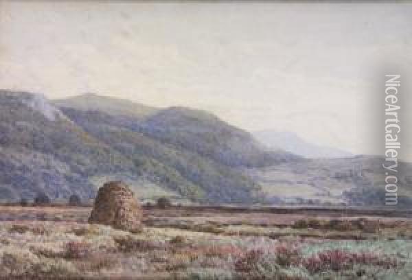 Coastal And Bogland Scenes Oil Painting - Henry Albert Hartland