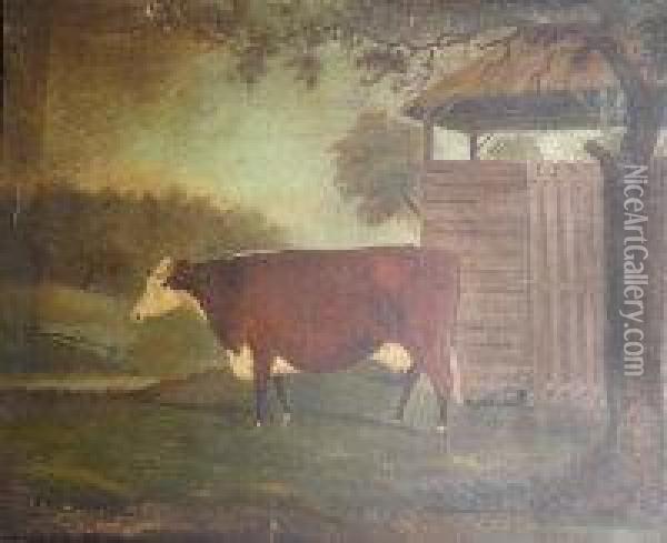 A Prize Hereford Cow In A Landscape Oil Painting - John Miles Of Northleach