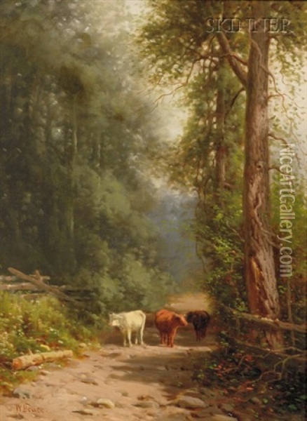 Cattle On A Wooded Path Oil Painting - William Bruce