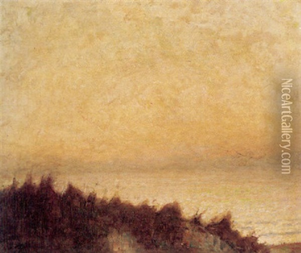 Impressionistisk Aftenstemning Oil Painting - Julius Paulsen