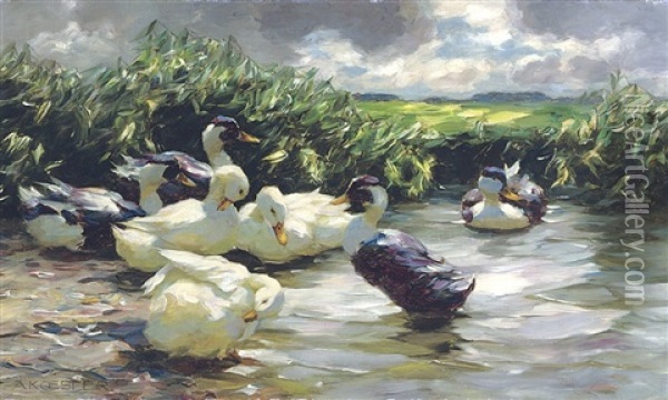 Enten In Grunem Wasser Oil Painting - Alexander Max Koester