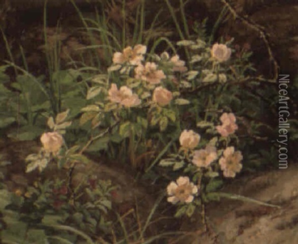 Teroser Og Vilde Blomster Imellem Sten Oil Painting - Anthonie Eleonore (Anthonore) Christensen