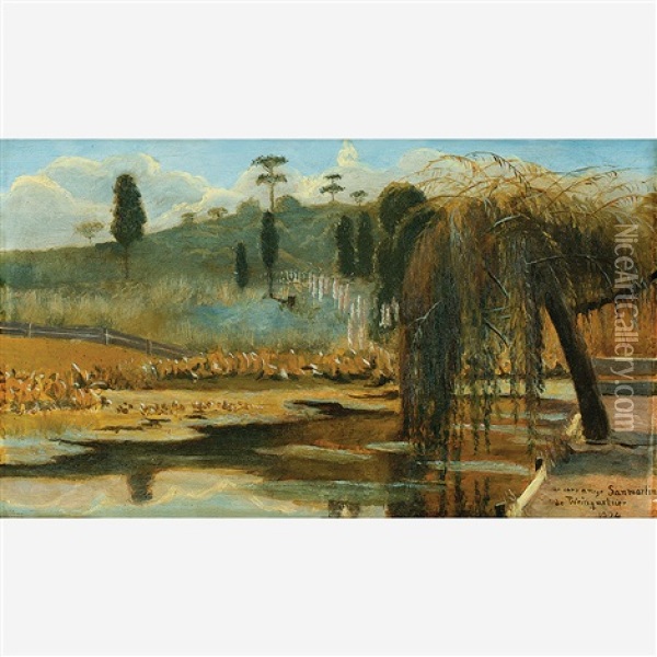 Chorao A Beira Do Lago Oil Painting - Pedro Weingartner