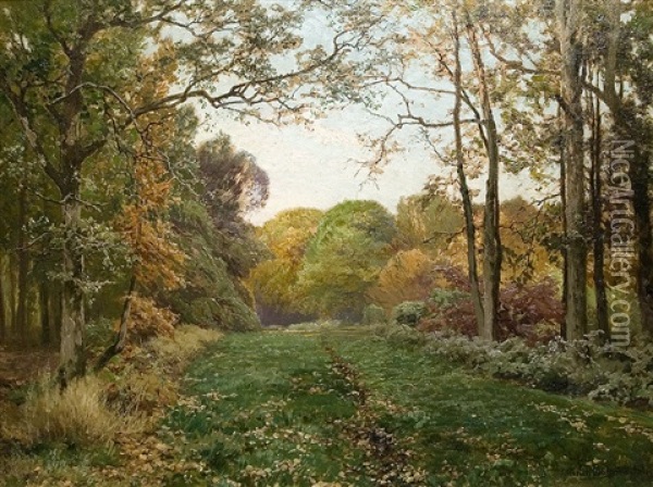 Blick Auf Die Waldlichtung Oil Painting - Heinrich Boehmer