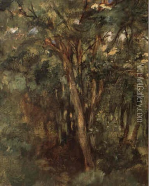 Paysage Aux Arbres Oil Painting - Edouard Manet