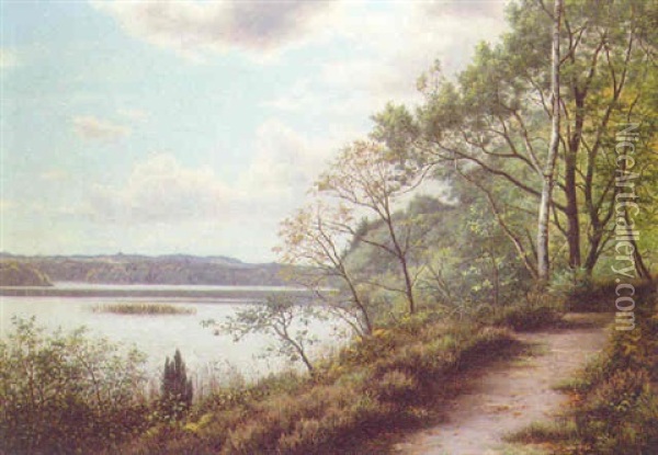 A Track By A Lake Oil Painting - Adolf Alfred Larsen