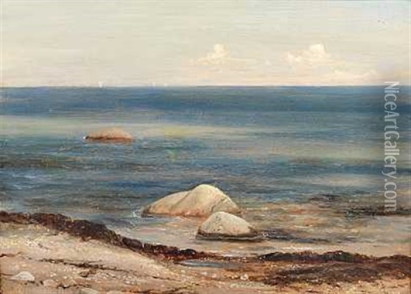 Store Sten I Strandkanten Ved Aalsgaarde Oil Painting - Vilhelm Melbye