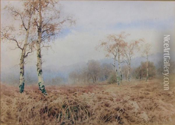 Heathland View With Bracken And Silver Birch Trees Oil Painting - Paul Bertram