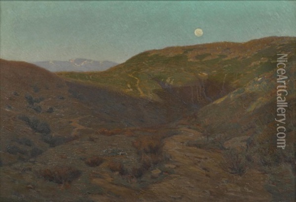 Shadows On The Hills Oil Painting - Elmer Wachtel