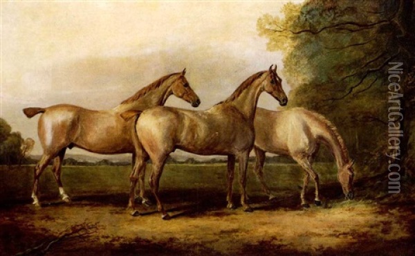 Mares In Pasture Oil Painting - John E. Ferneley