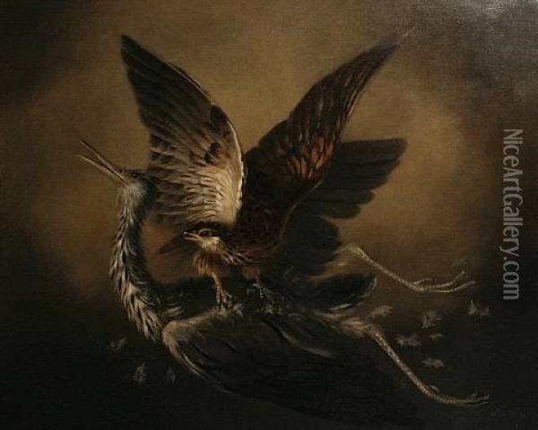 A Goshawk Attacking A Grey Heron Oil Painting - James (Thomas J.) Northcote