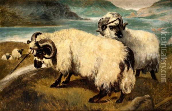 Highland Sheep By A Loch Oil Painting - Joseph Crawhall