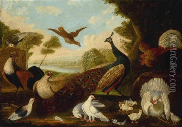 A Peacock, A Cockerel, A Hen And Her Chicks, A Grouse And Other Foul In A Wooded River Landscape Oil Painting - Melchior de Hondecoeter