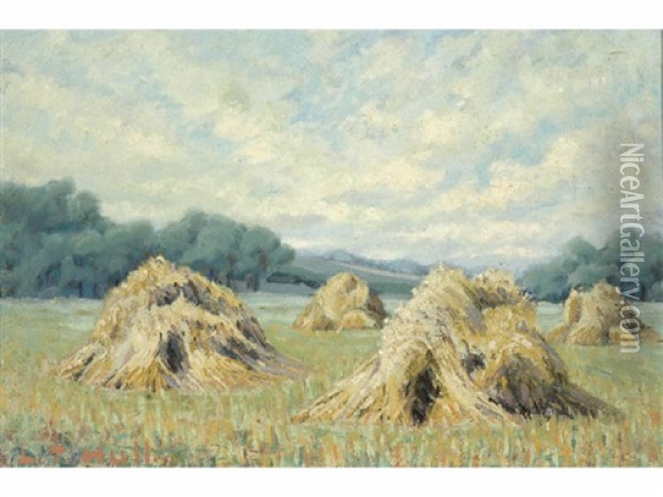 Grain Fields Oil Painting - Emma Lampert Cooper