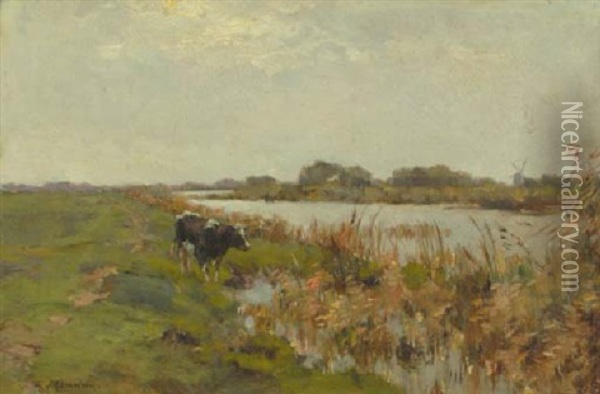 A Cow In A Polder Landscape Oil Painting - Gerard Altmann