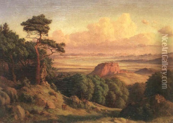 Blick Auf Den Hohentwiel Im Abendsonnenlicht Oil Painting - Josef Moosbrugger