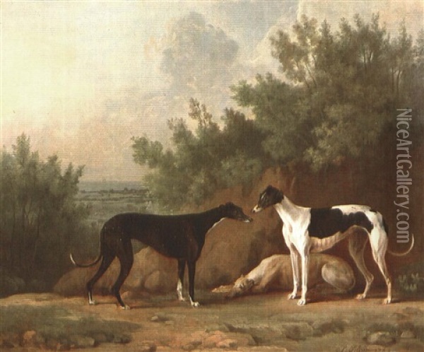 Three Greyhounds Oil Painting - Sawrey Gilpin