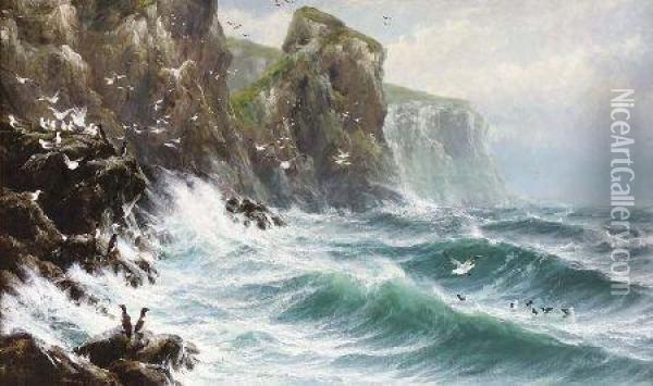 The Haunt Of The Gull Oil Painting - John Howard Lyon