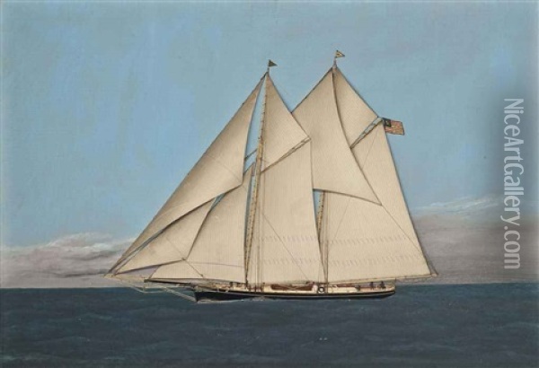 The Celebrated American Schooner Magic Under Full Sail Oil Painting - Thomas H. Willis