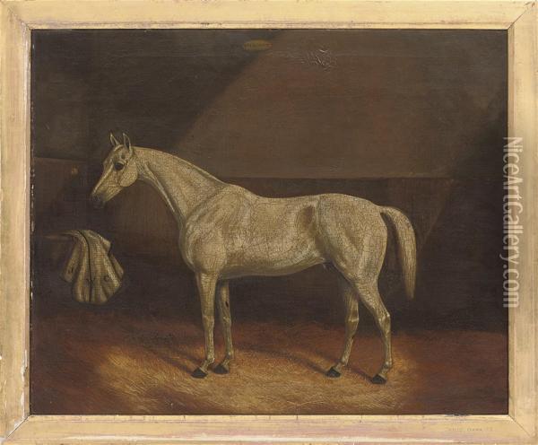 A Grey Race Horse In A Stable Oil Painting - James Senior Clark