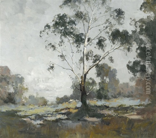 Landscape With White Gum Oil Painting - Penleigh Boyd