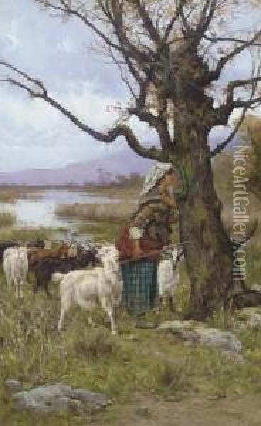 The Goat Keeper Oil Painting - Pietro Barucci