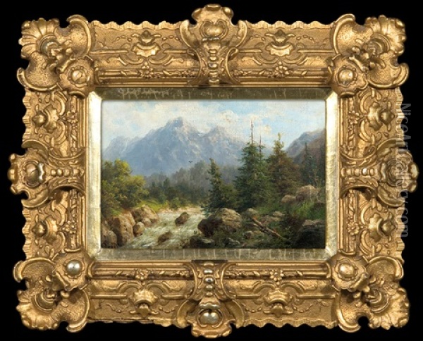 Mountain Landscape With Rushing Torrents Oil Painting - Julius Karl Rose