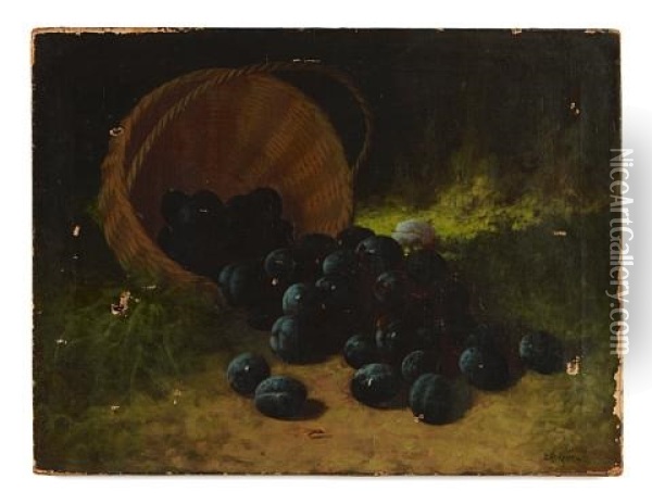 A Still Life With Plums Oil Painting - Carducius Plantagenet Ream