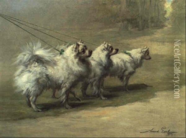 Pomeranians In A Park Oil Painting - Maud Earl