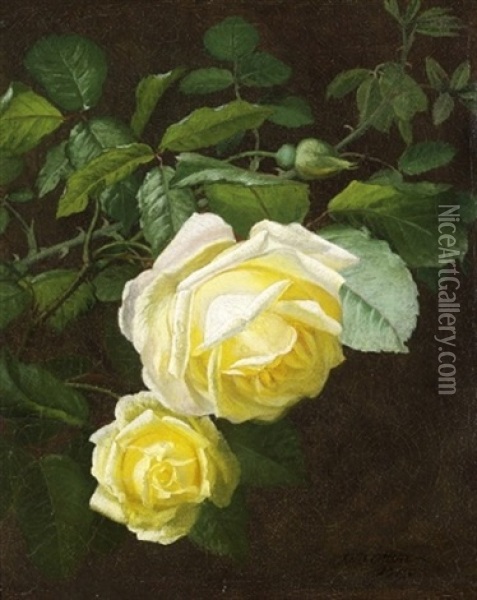 Blomstrende Marechal Niel Roser Oil Painting - Otto Didrik Ottesen