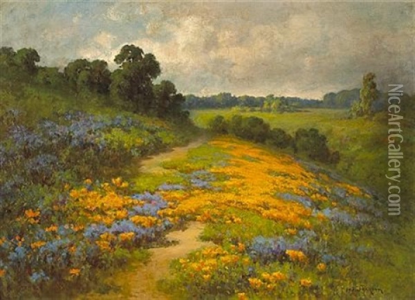California Poppies, Sierra Foothills Oil Painting - William Franklin Jackson