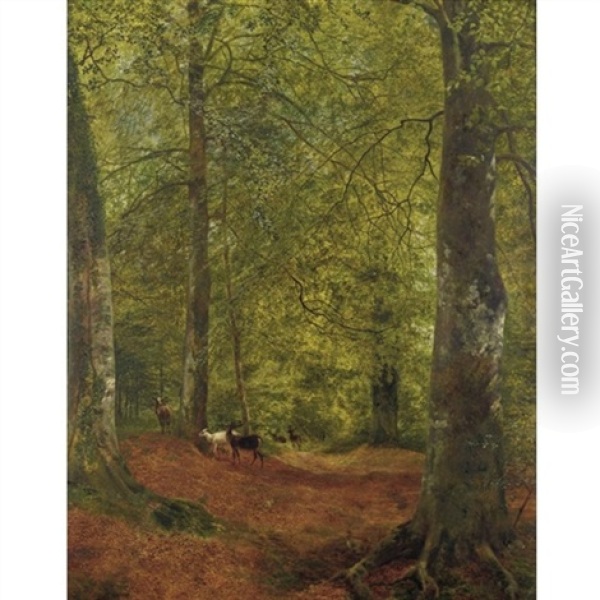 Deer In The Woods Oil Painting - Reginald Rex Vicat Cole