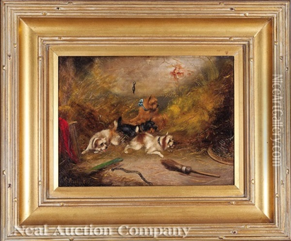 Terriers In Training; The Chase (2 Works0 Oil Painting - George Armfield