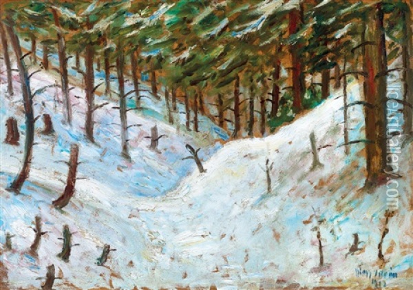 Snowy Forest (transylvania) Oil Painting - Istvan Nagy