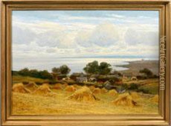 Sommerstimmung An Einem Bodden Auf Rugen Oil Painting - Alexander Rau