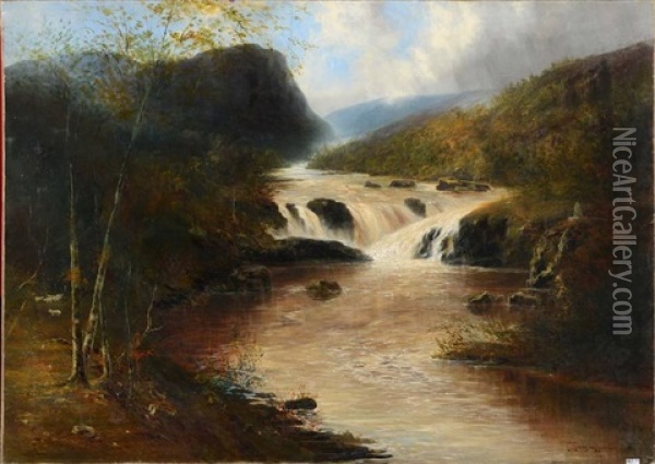 Paysage A La Cascade Oil Painting - Francisco Torrescassana